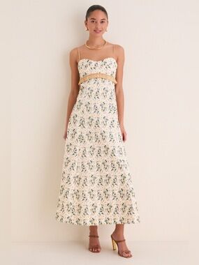 Clea Daisy Meadow Salvador Maxi Dress Size Large NWT MSRP $750 at Tuckernuck
